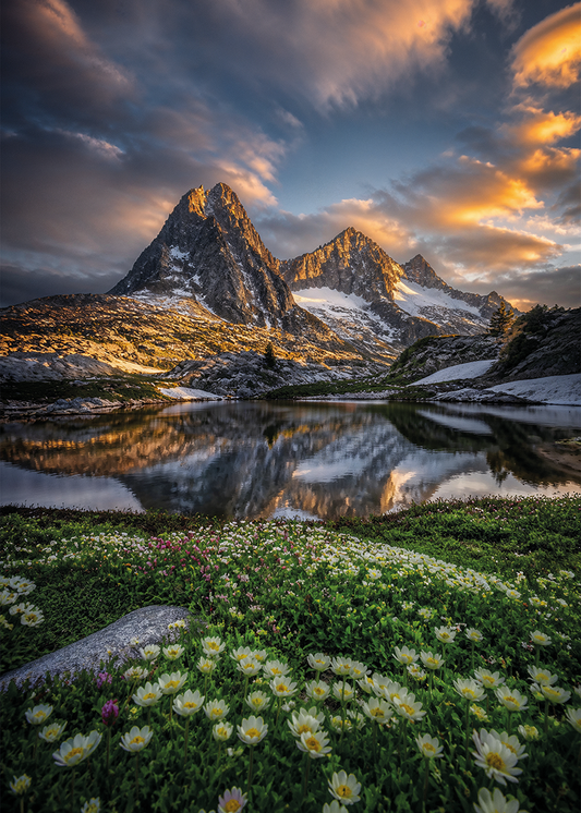 Alpengloed