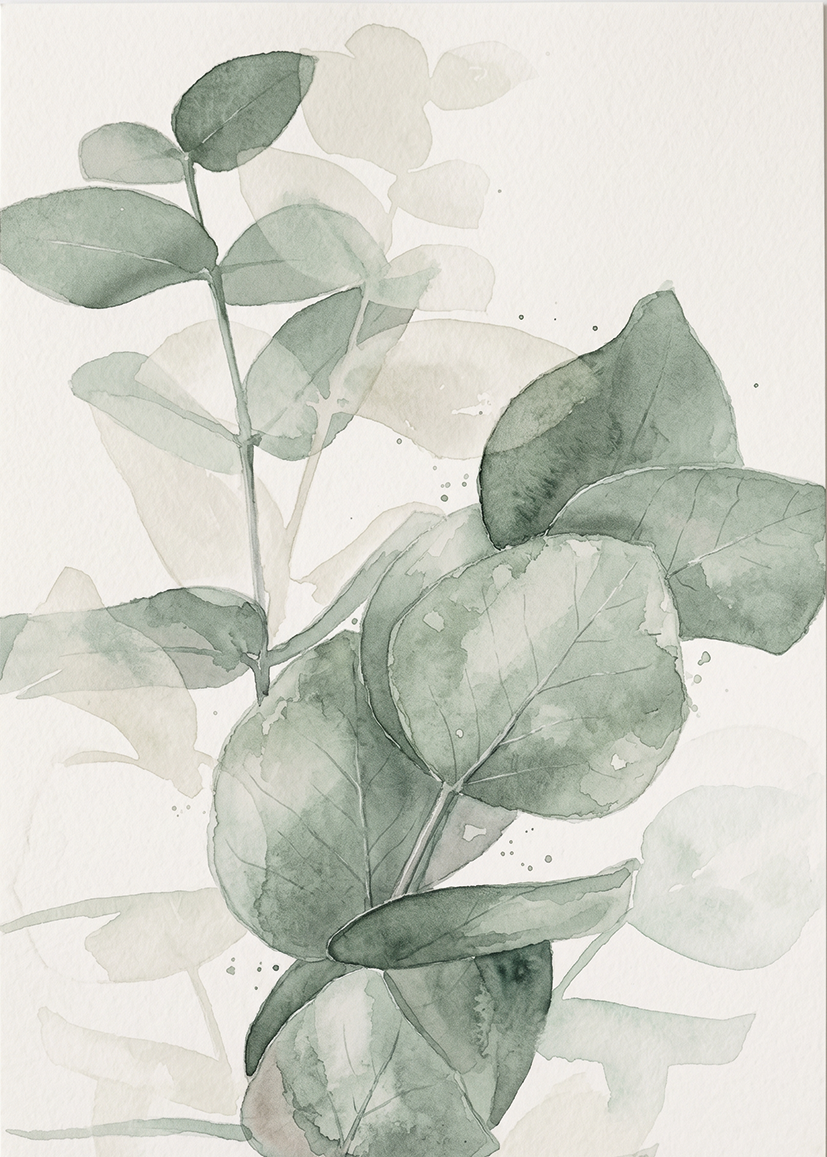 Eucalyptus in Aquarel