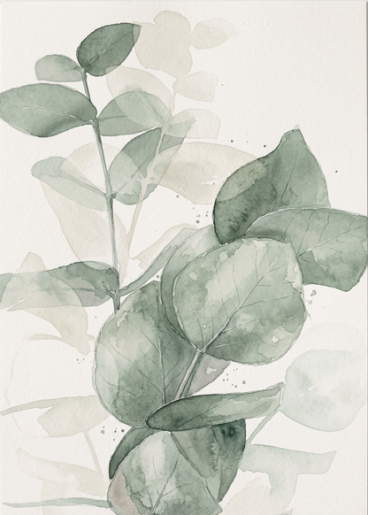 Eucalyptus in Aquarel