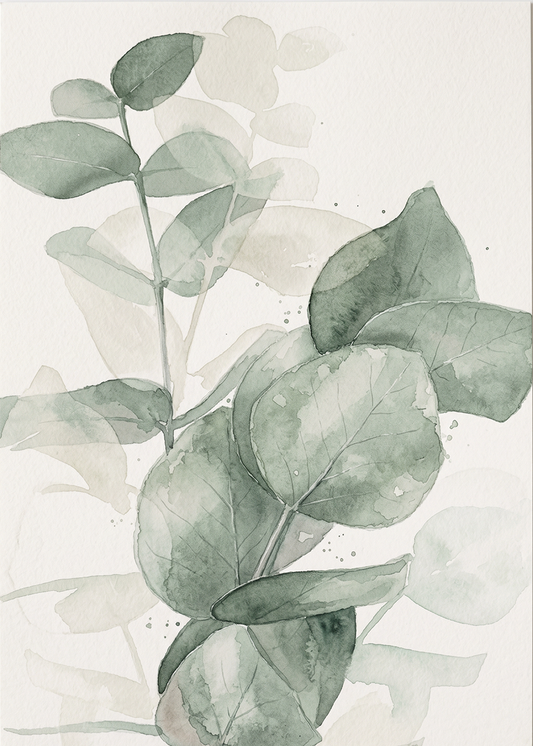 Eucalyptus in Aquarel