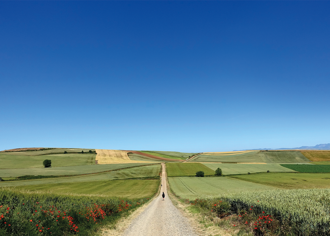 Franse Vergezichten