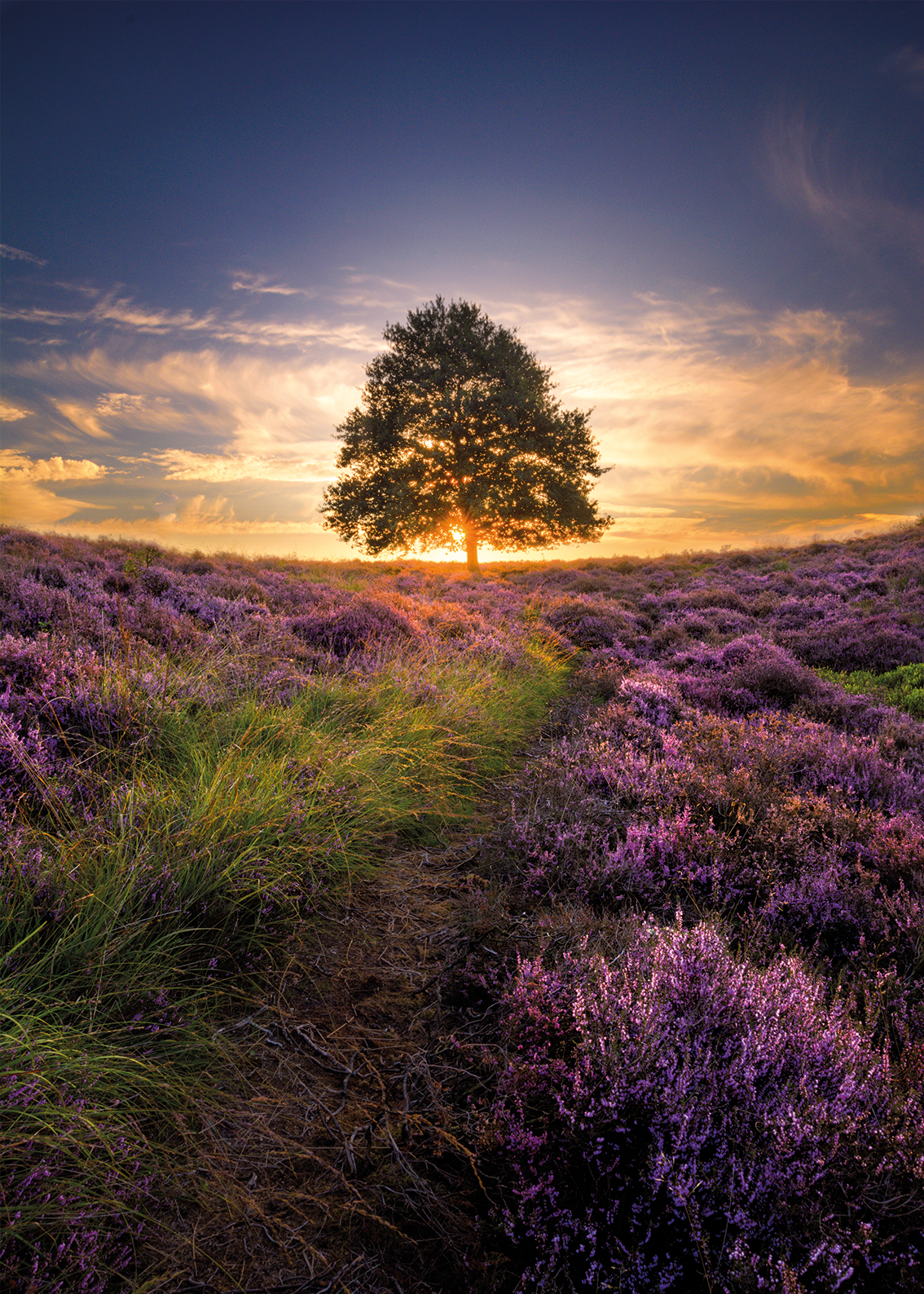 Zonsondergang op de Heide