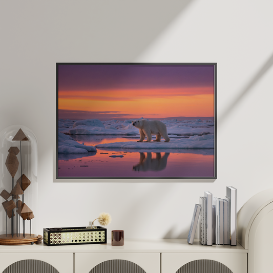 Ijsbeer bij Zonsondergang