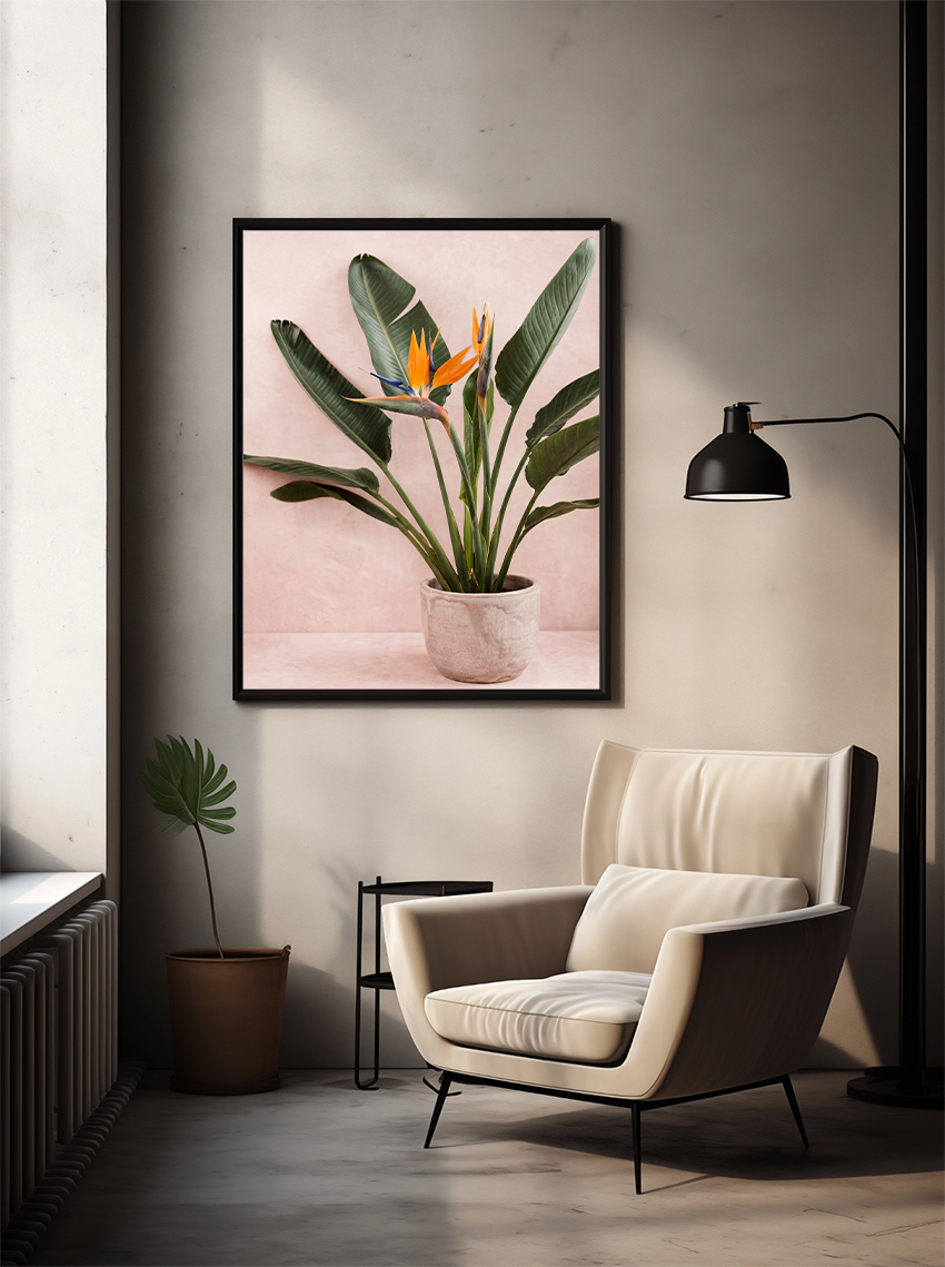 Bird of Paradise