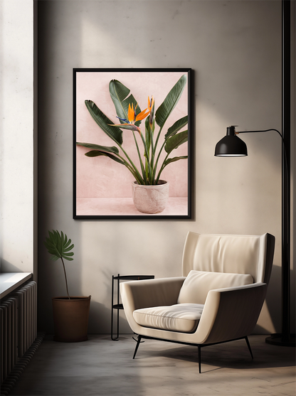 Bird of Paradise