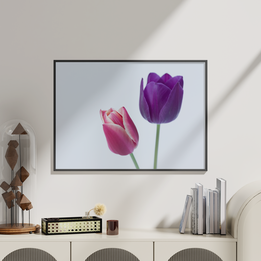 Twee Tulpen, Twee Stemmen