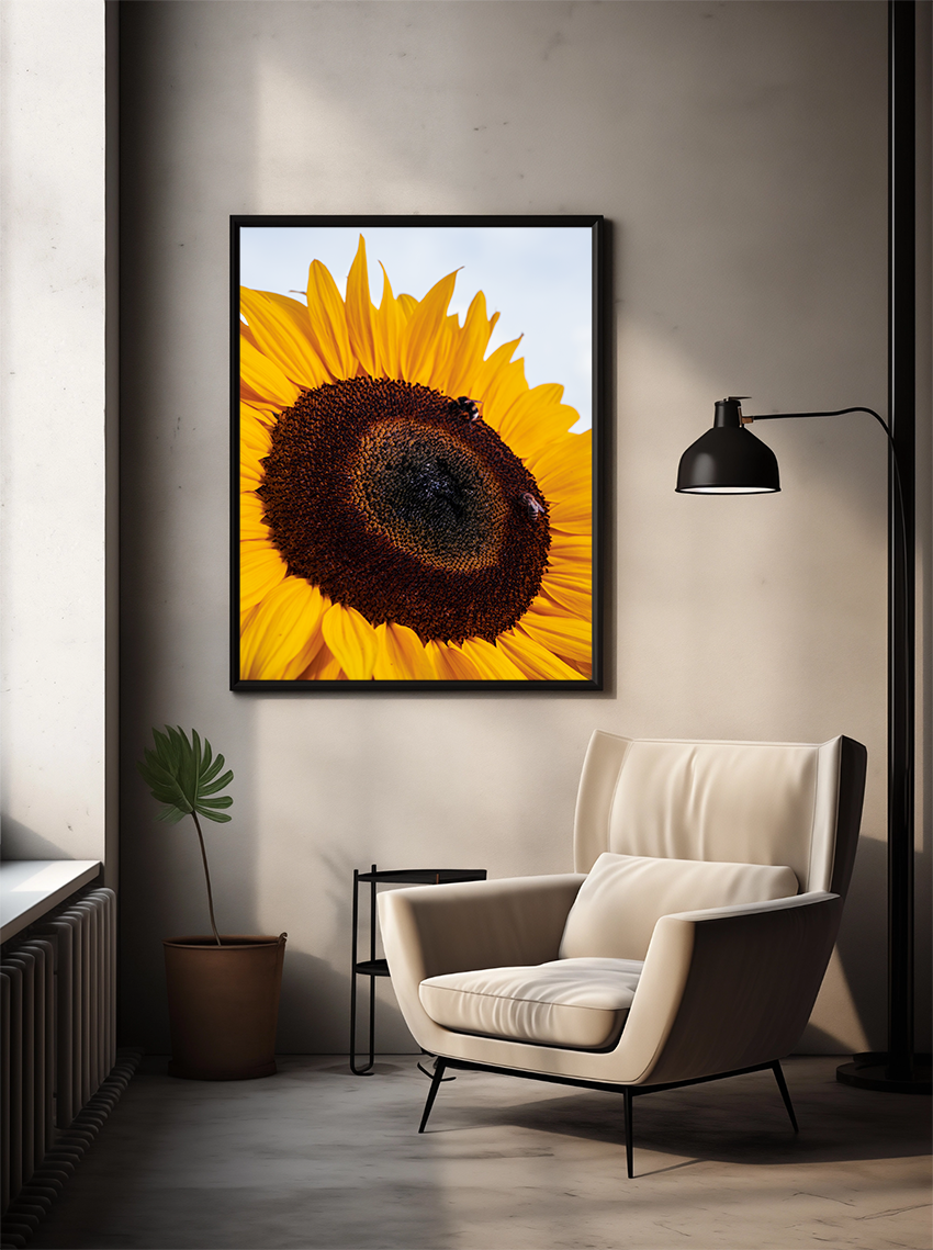 De Kracht van de Zon