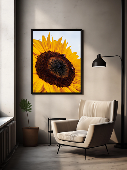 De Kracht van de Zon