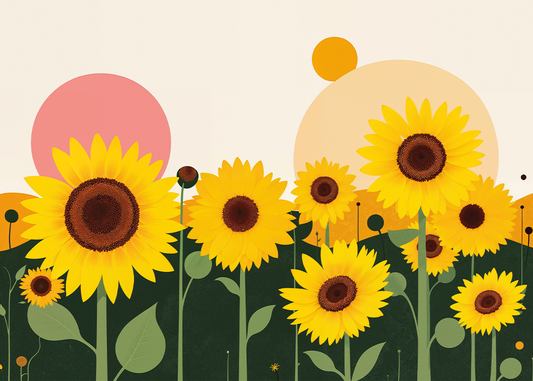 Zonnebloemenveld