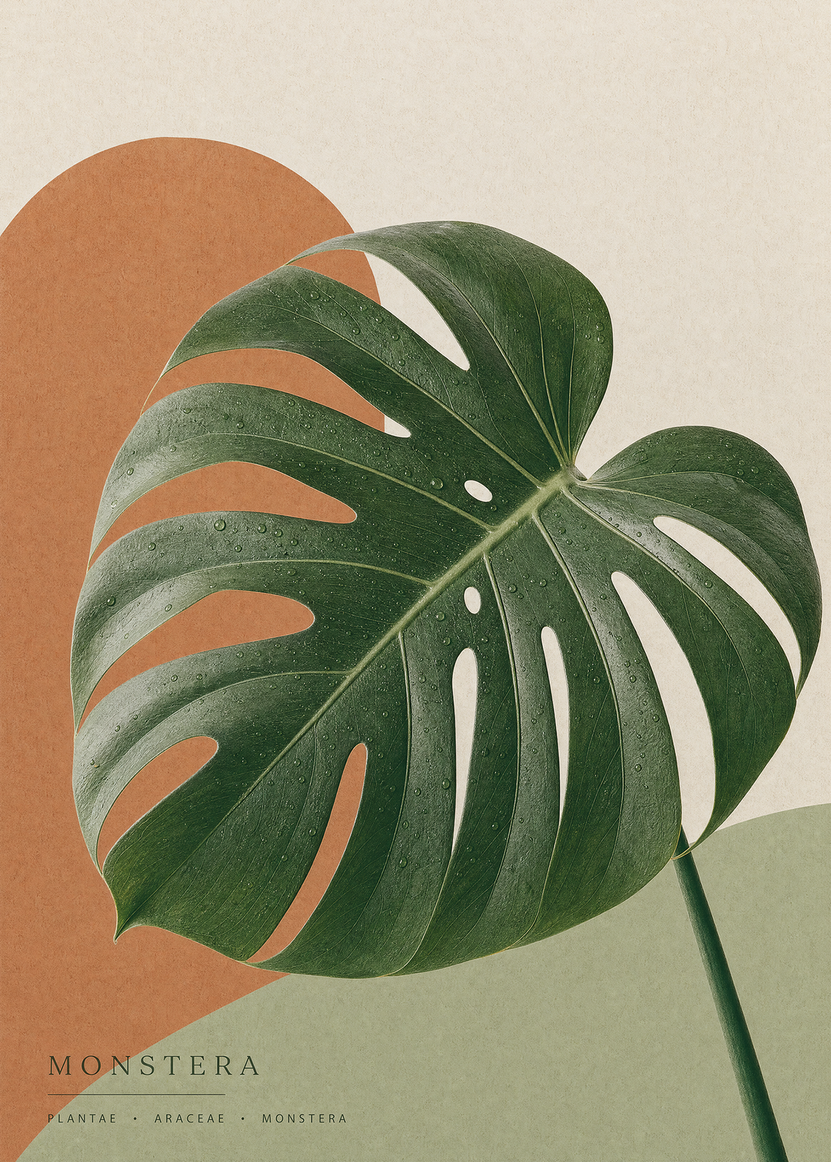 Monstera in Rust